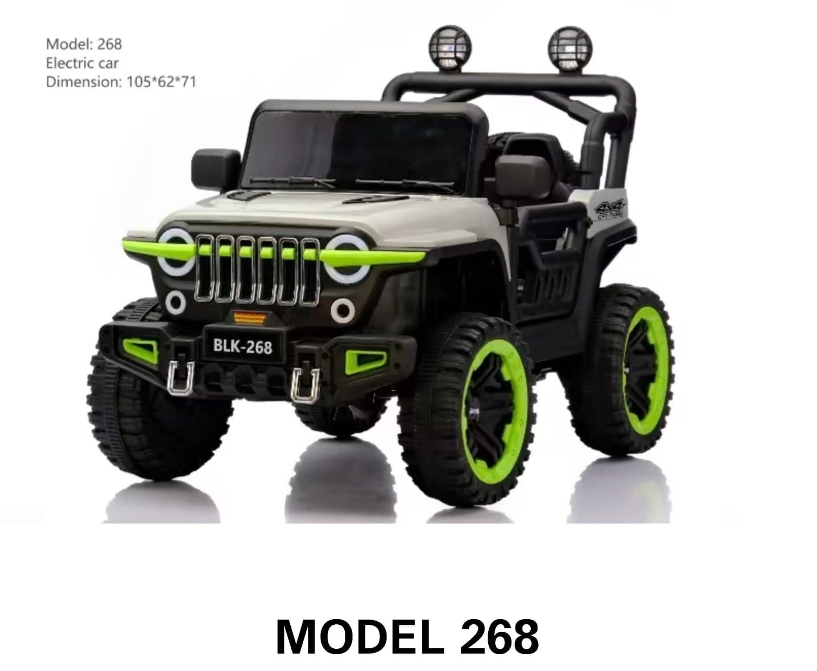Electric Car